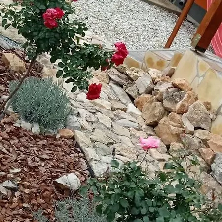 Rozsa Vendeghaz Zirc